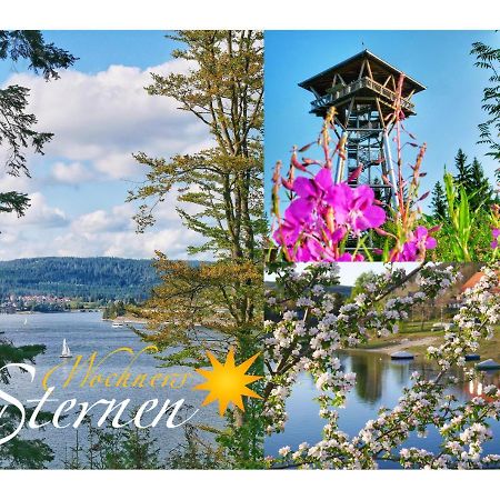 Wochner'S Hotel-Sternen Am Schluchsee Hochschwarzwald Buitenkant foto